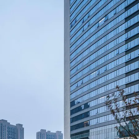 Pullman Shanghai Qingpu Excellence-3