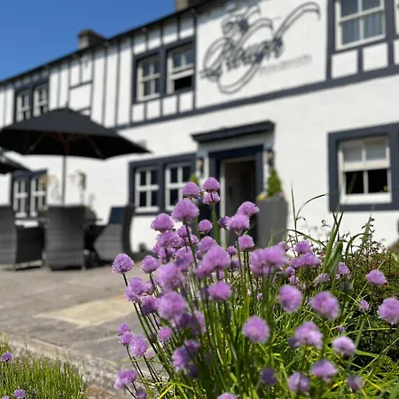 The Plough-3