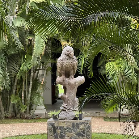 Hacienda Mi Soledad-3