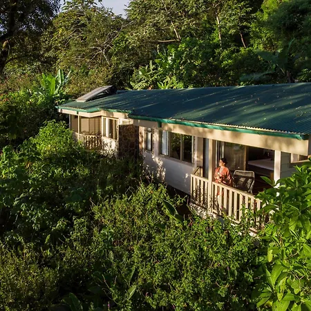 Senda Monteverde Hotel Member Of The Cayuga Collection-3