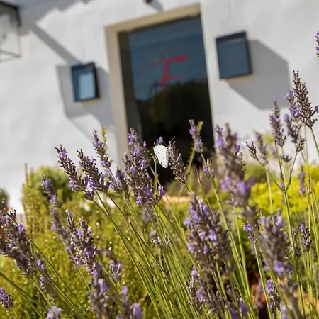 Mas De La Fouque - Hotel & Spa-2