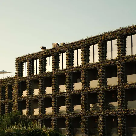 Tsinandali Estate, A Radisson Collection Hotel-2