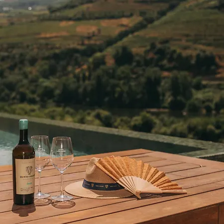 Torel Quinta Da Vacaria - Douro Valley-3