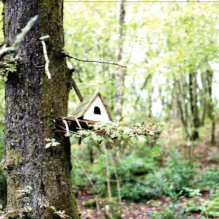 Afon Rhaiadr Country House-3