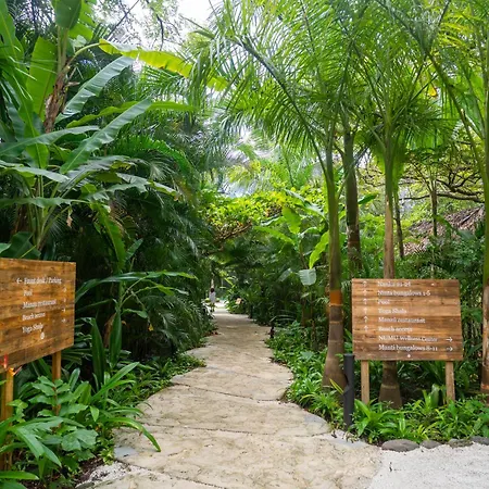 Hotel Nantipa - A Tico Beach Experience-2