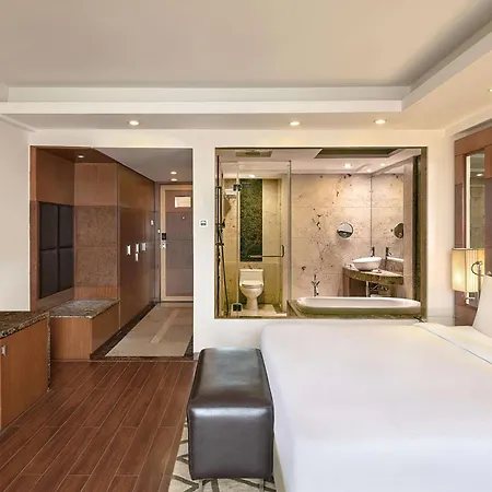 Radisson Blu Plaza Delhi Airport-2
