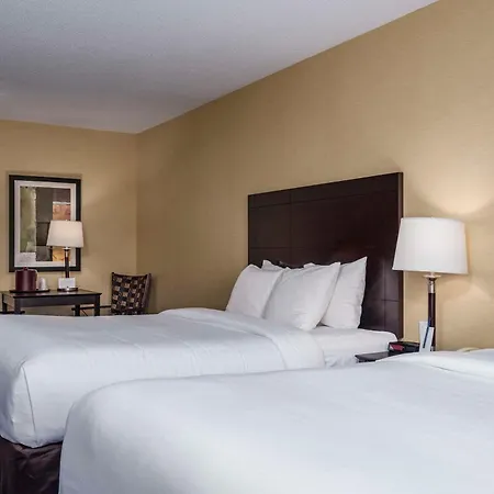 Comfort Inn - Gander-2