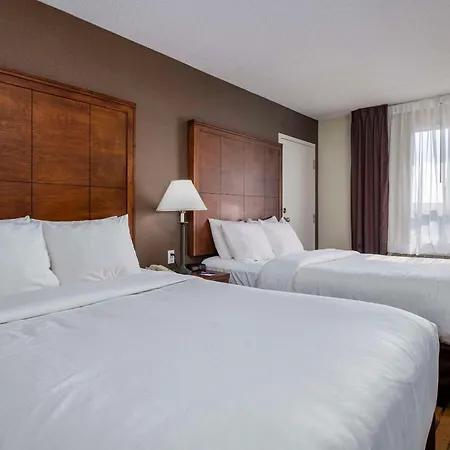 Comfort Inn - Gander-3