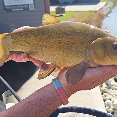 Lakeside Fishing Retreats-3