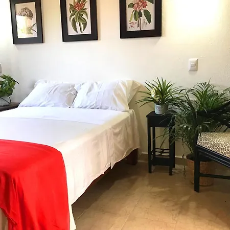 Casa Botanica-3