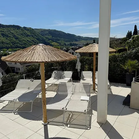 Weingut-Aparthotel Olinger-3