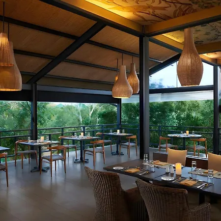 Cinnamon Wild Yala-2