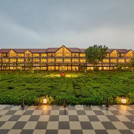 Mayfair Tea Resort-3