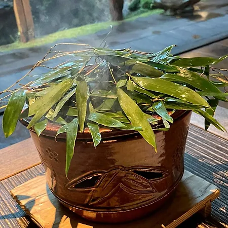 Yuzuya Ryokan - Adult Only-3