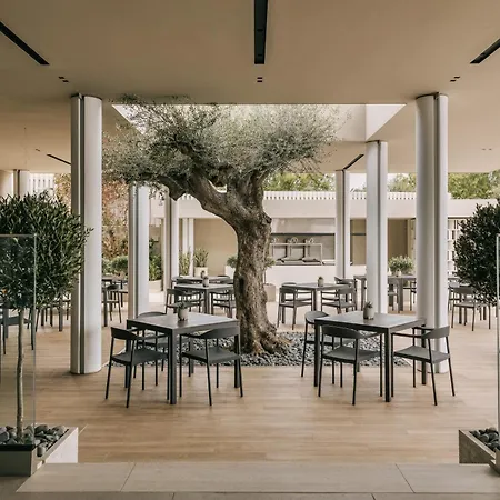 Divani Apollon Palace & Thalasso-2