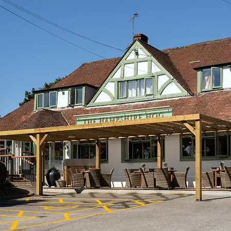 The Hampshire Hog-2