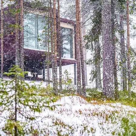 Arctic Treehouse Hotel-3
