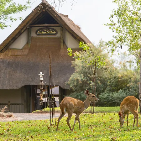 Victoria Falls Safari Club-2