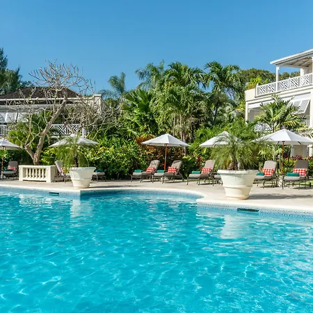 Coral Reef Club-3