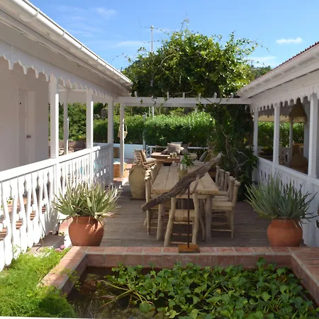 Tropical Hotel St Barth-3