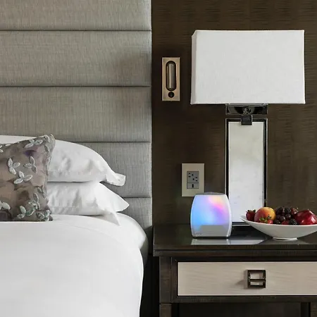 The Ritz-Carlton Atlanta-2