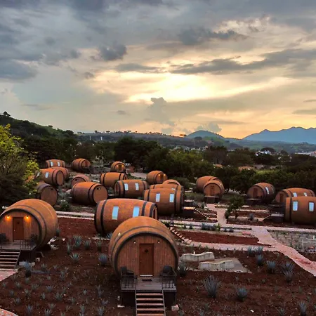 Matices Hotel De Barricas-2