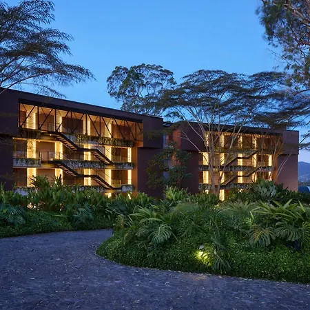 The Brown, Guatape, Autograph Collection-3