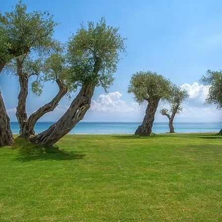 Domes Miramare, A Luxury Collection Resort, Corfu - Adults Only-3
