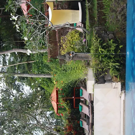 Kupu Kupu Barong Villas And Tree Spa-3