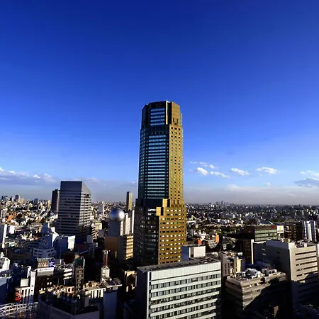 Cerulean Tower Tokyu Hotel, A Pan Pacific Partner Hotel-3