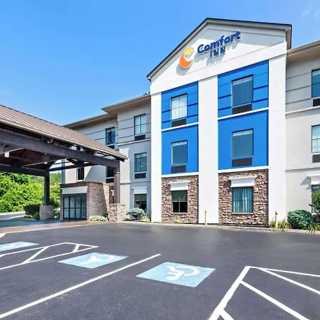 Comfort Inn Harriman-2