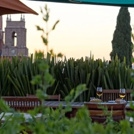 Casa de Los Olivos-2
