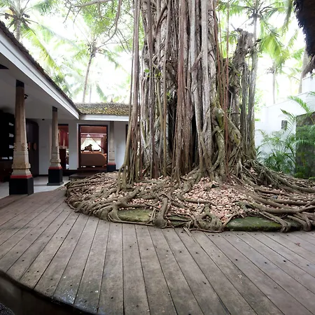 Niraamaya Wellness Retreats, Surya Samudra, Kovalam-3