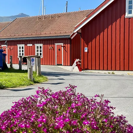 Anker Brygge-2