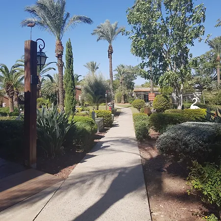 Ramot Resort Hotel-3