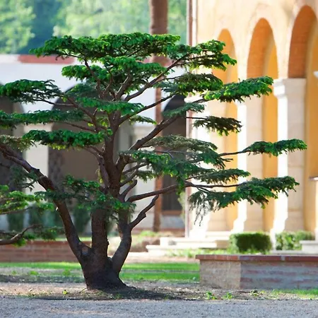 La Bastide En Gascogne-2