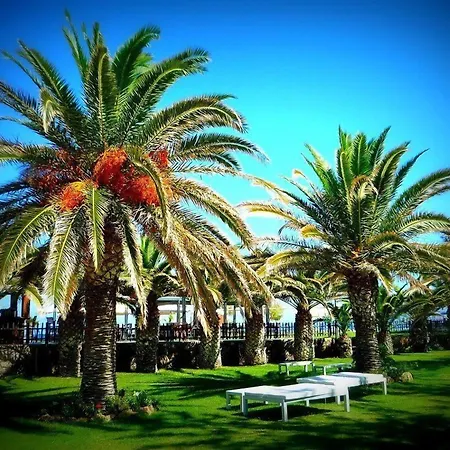 Minos Mare Royal-3