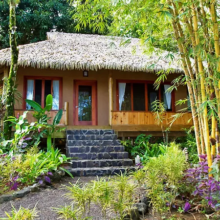 Copa De Arbol Beach & Rainforest Resort-2