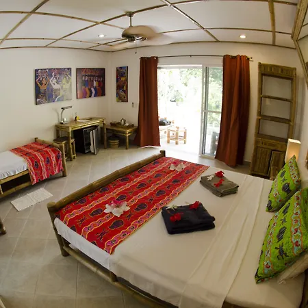 Dolphin House Resort Moalboal-3