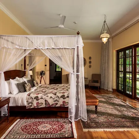 Ceylon Tea Trails-3