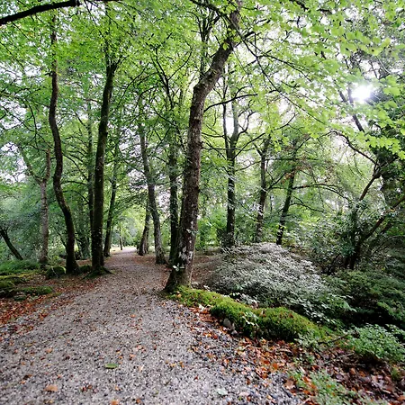Gidleigh Park- A Relais & Chateaux Hotel-3