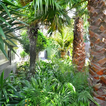 Nice Hotel-2
