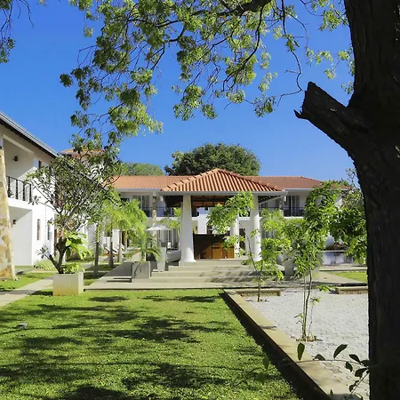 Hotel Tamarind Tree-3