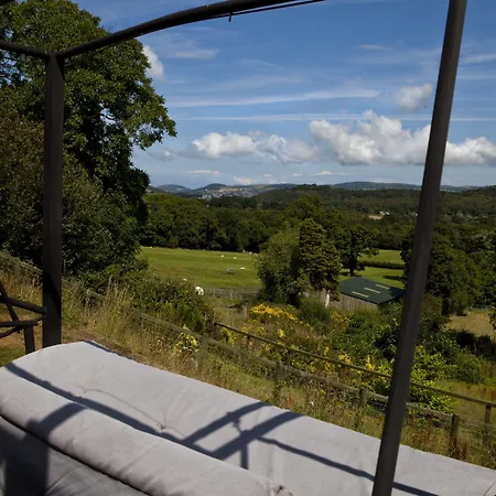Coed Mawr Hall Bed & Breakfast-3