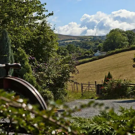 Coed Mawr Hall Bed & Breakfast-2