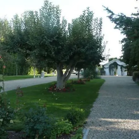 Cozy Rose Inn-2