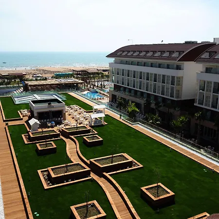 Trendy Verbena Beach-3