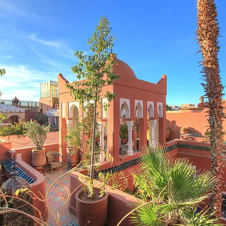 Riad Kaiss By Anika-2