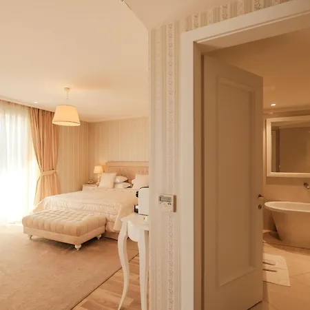 Palace Hotel & Spa-2