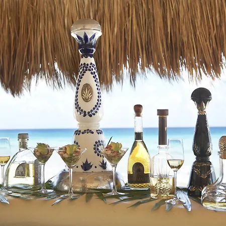 Viceroy Riviera Maya, A Luxury Villa Resort - Adults Only-3